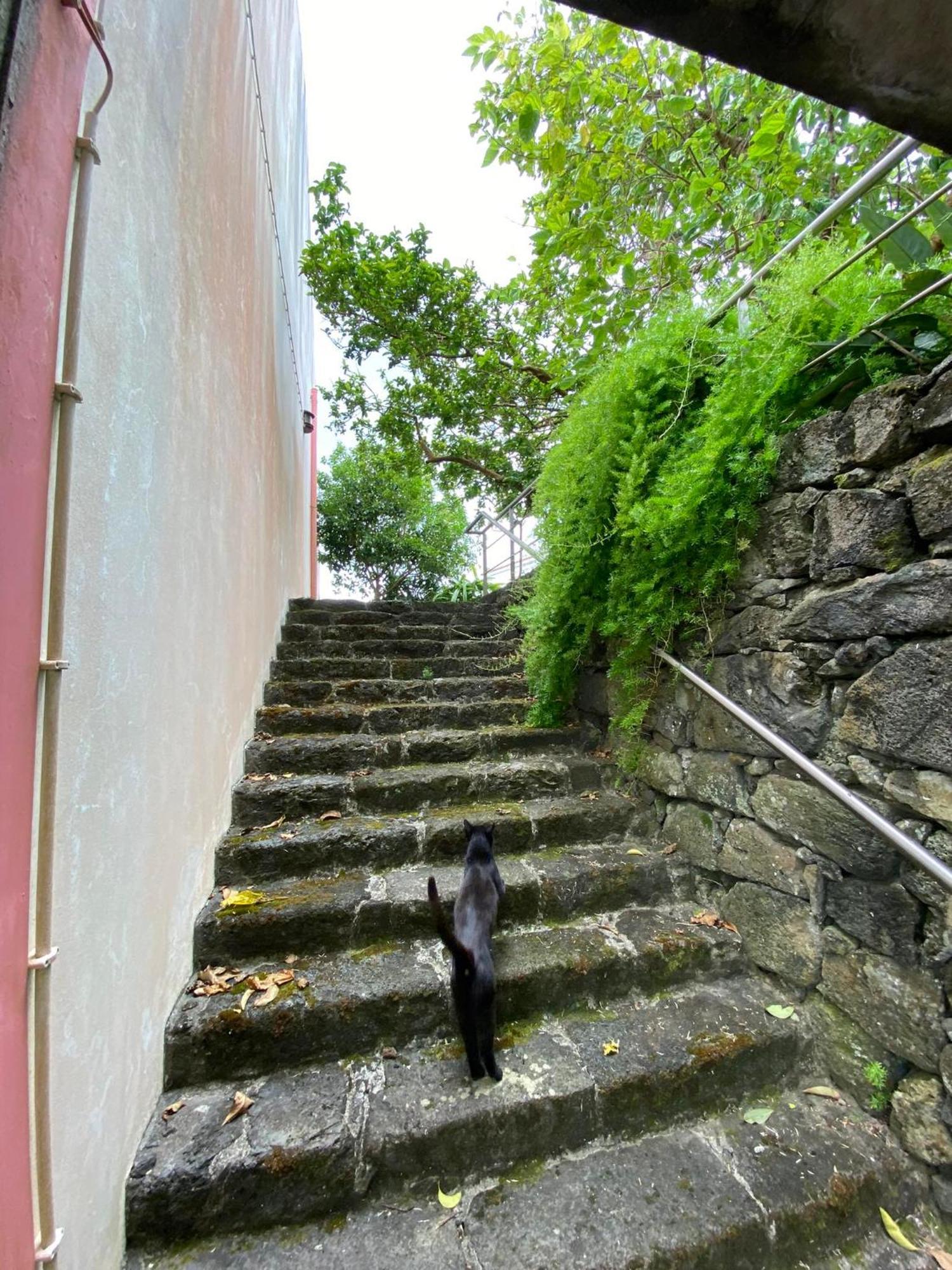 Apartamentos Turisticos Verdemar Horta  Bagian luar foto
